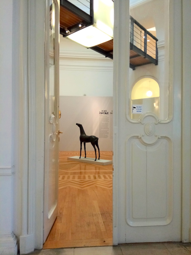 golly&bossy blog - stipe sikirica - konj