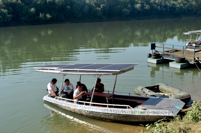 blog golly&bossy - lonjsko polje