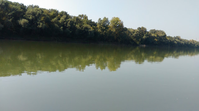 blog golly&bossy - lonjsko polje