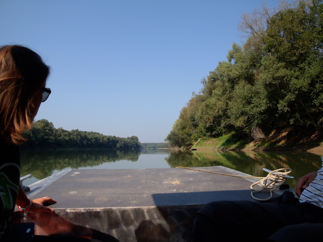 blog golly&bossy - lonjsko polje