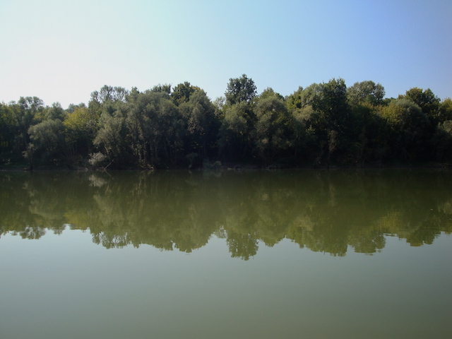 blog golly&bossy - lonjsko polje