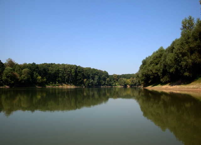 blog golly&bossy - lonjsko polje