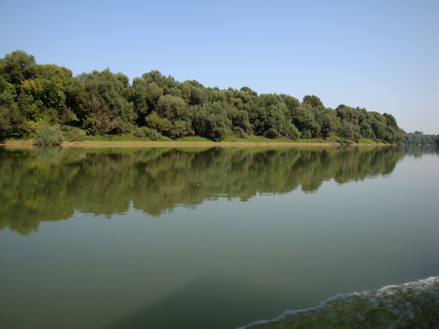 blog golly&bossy - lonjsko polje