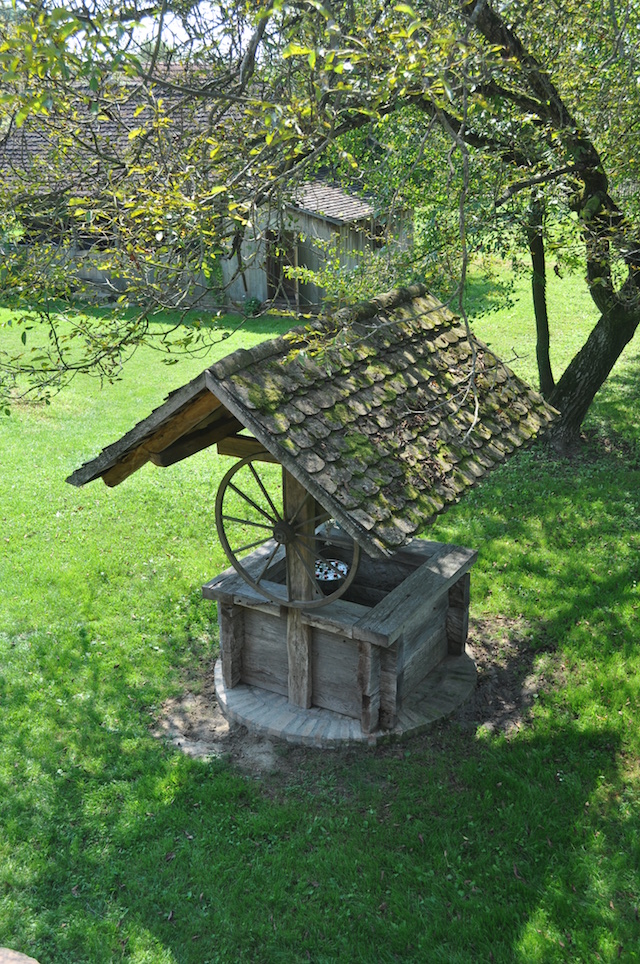 blog golly&bossy - lonjsko polje