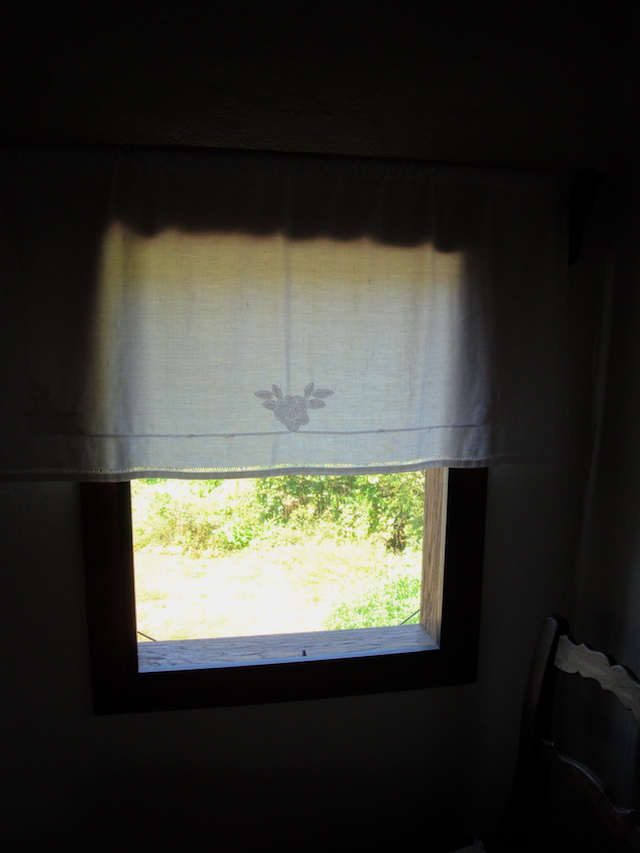 blog golly&bossy - lonjsko polje