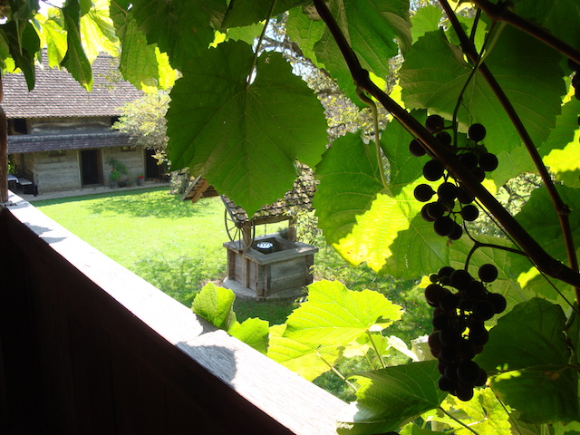 blog golly&bossy - lonjsko polje