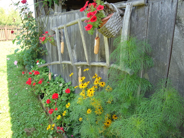 blog golly&bossy - lonjsko polje