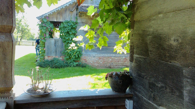 blog golly&bossy - lonjsko polje