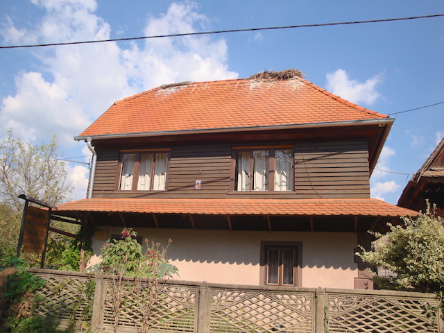 blog golly&bossy - lonjsko polje