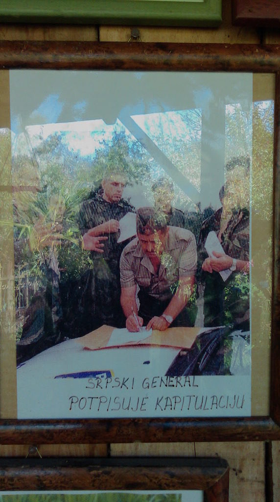 blog golly&bossy - lonjsko polje