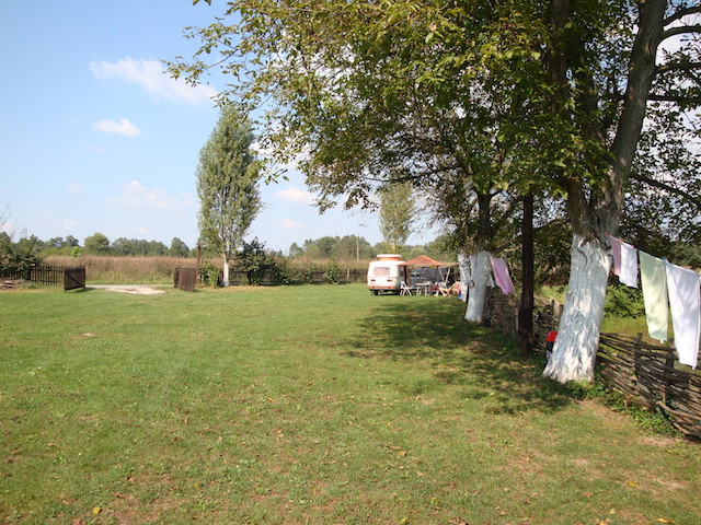 blog golly&bossy - lonjsko polje