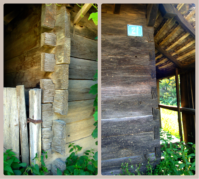 blog golly&bossy - lonjsko polje