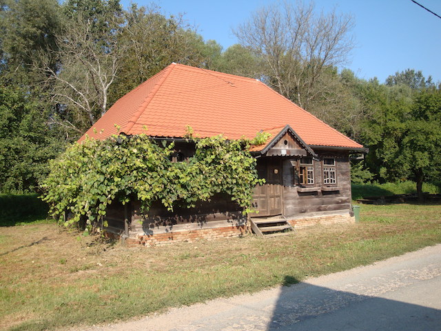 blog golly&bossy - lonjsko polje