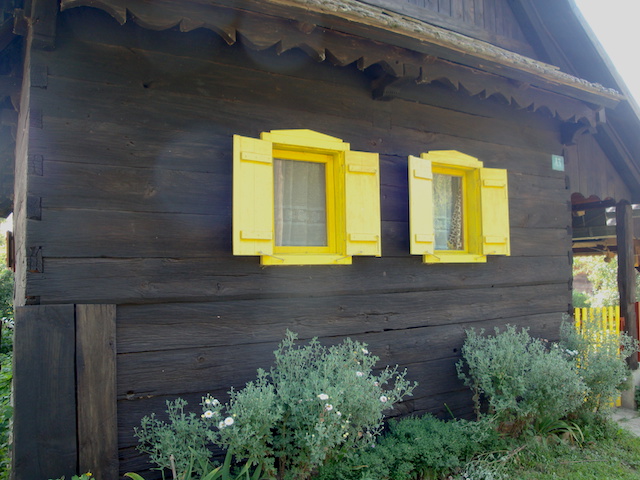 blog golly&bossy - lonjsko polje