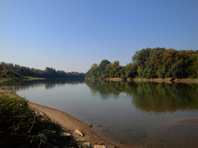 blog golly&bossy - lonjsko polje