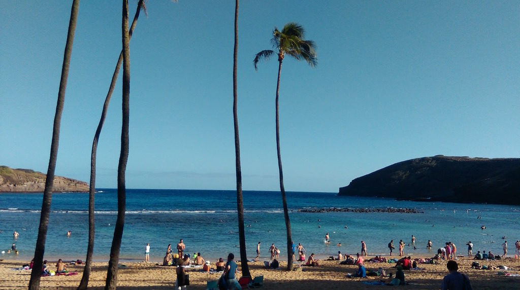 golly&bossy na havajskim plažama